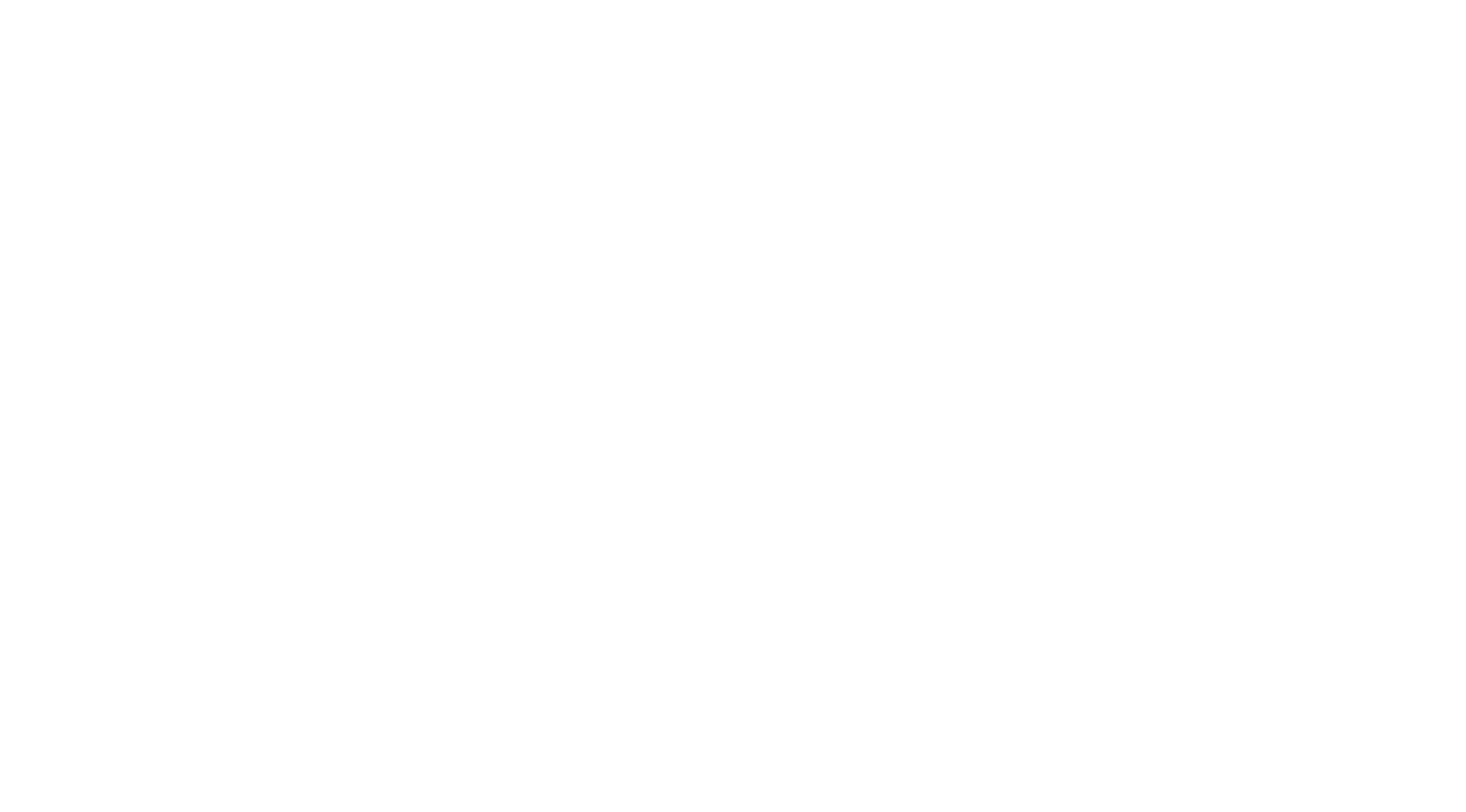 Cognitio Nexus Logo